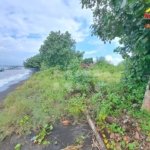 tanah pinggir pantai banyuwangi