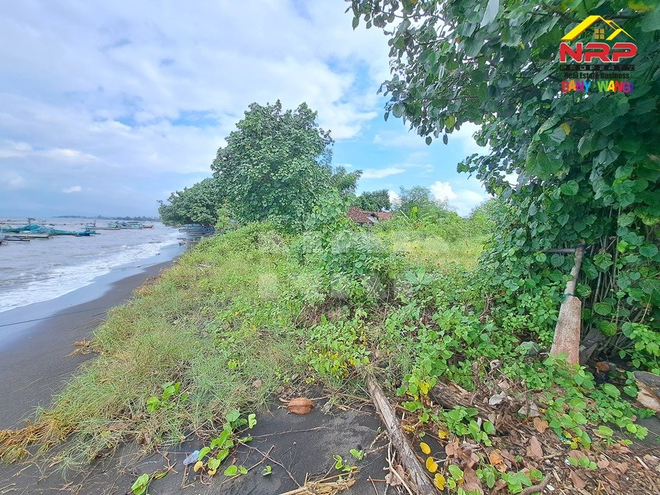 tanah pinggir pantai banyuwangi
