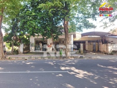 Dijual Ruko di Pusat Kota Jalan Jagung Suprapto Luas 600 M2 Banyuwangi