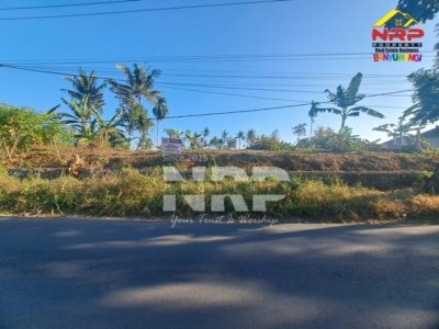DIJUAL TANAH KERING MURAH DI JL. TAMBONG – KABAT, BANYUWANGI