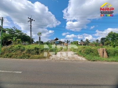 Dijual Tanah Prospek di Kawasan Wisata Tamansuruh Banyuwangi
