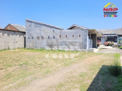 Dijual Tanah Murah 100 Jutaan di Singotrunan Banyuwangi