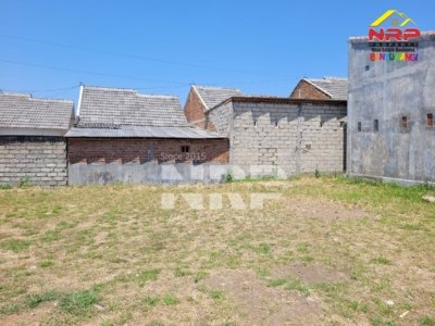 DIJUAL TANAH MURAH 80 JUTAAN DI SINGOTRUNAN BANYUWANGI | DEKAT SMPN 3 & JL. BASUKI RAHMAT