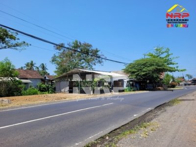 Dijual Tanah tepi jalan di Lemahbangdewo - Rogojampi Banyuwangi