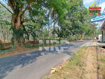 Tanah kering siap bangun seluas 875 m² di Klatak Kalipuro Banyuwangi