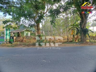 Tanah kering siap bangun seluas 905 m² di Klatak, Kalipuro, Banyuwangi.