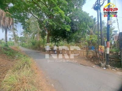 Dijual Tanah Kebun 5.000 M² di Sumberrejo Banyuwangi – Dekat Satpas Polresta3
