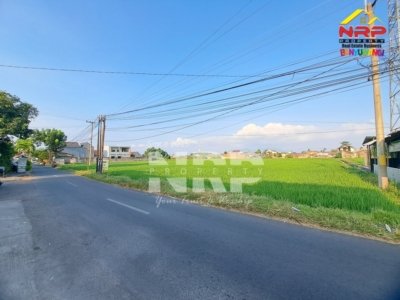 Tanah luas 9845 m2 dijual di Karangrejo Banyuwangi untuk perumahan dan industri