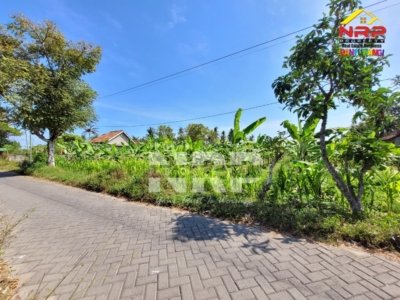 Tanah produktif 2.000 m² dijual di Kertosari Banyuwangi